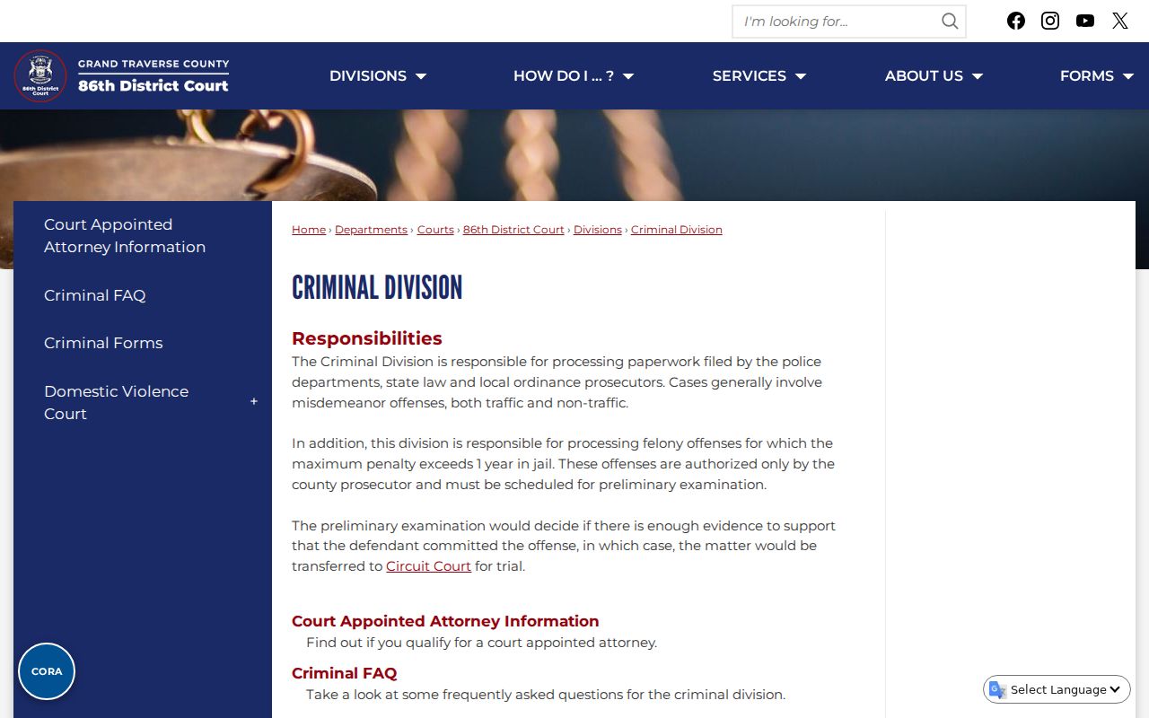 Leelanau County criminal docket district criminal division