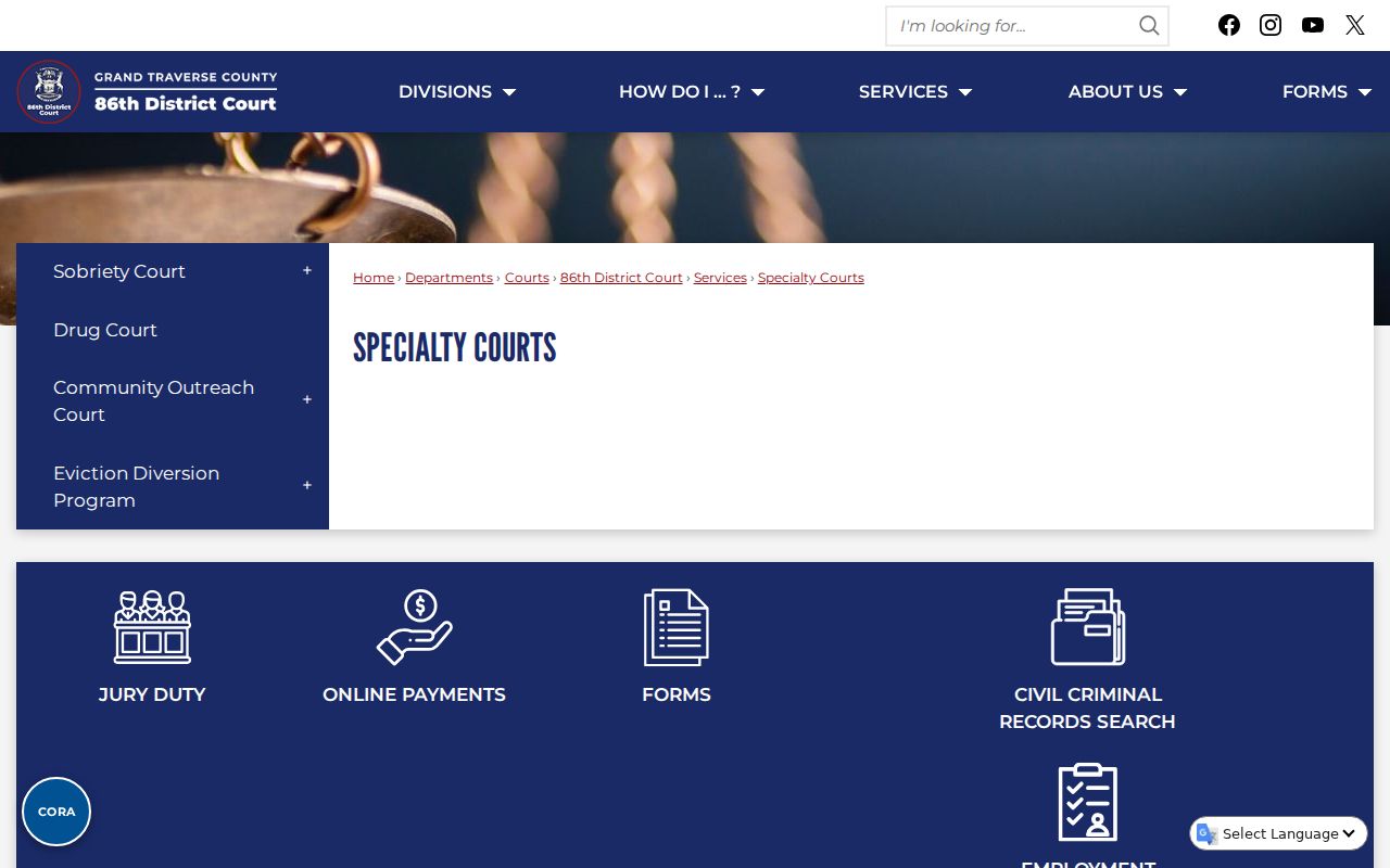 Leelanau County criminal docket specialty court programs